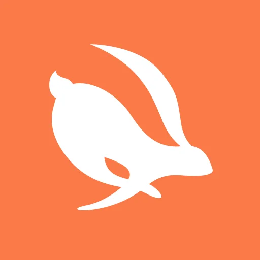 Turbo VPN Overlay